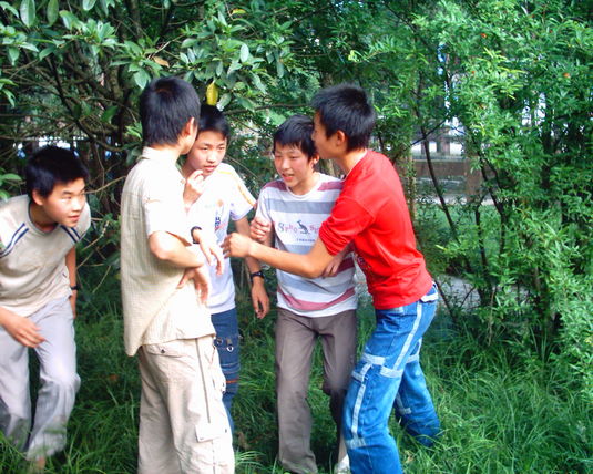 2006  (47)